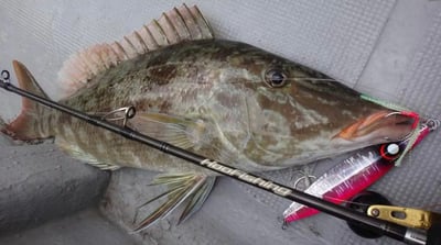 HooFishing 慢速鐵板竿 SLOW JIGGING 黑竿7