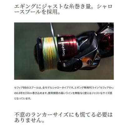 SHIMANO 軟絲捲線器SEPHIA BB C3000SDHHG 現貨3