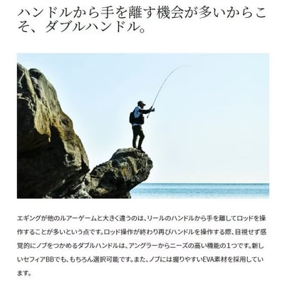 SHIMANO 軟絲捲線器SEPHIA BB C3000SDHHG 現貨7