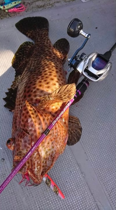 HooFishing 鐵板竿 紫竿light jigging MAX200g3