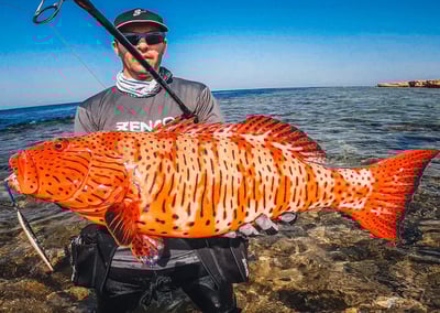 日本 ZENAQ 最新 實心竿  IKARI /鼓式竿/紡車竿20