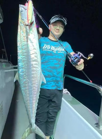 Pro Hunter鋁合金機體雙線杯小烏龜  SW 300H/301H8