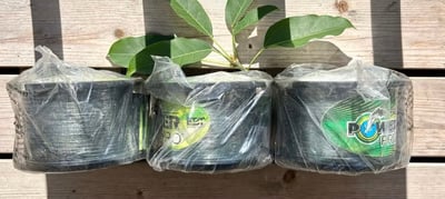 POWER PRO 3000碼(2470米) 30磅=3.5號/8磅=1號 綠色PE線5