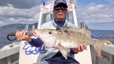 美國BogaGrip秤重魚夾 15lb/30lb/30LB SP 路亞人必備7