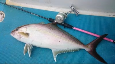 HooFishing 慢速鐵板竿 SLOW JIGGING 黑竿2