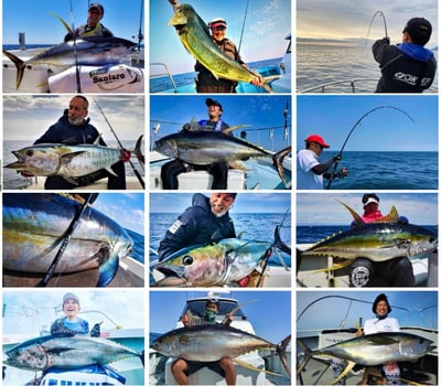 汐止狐狸釣具 ZENAQ 船拋竿Tobizo 代理商公司貨 附發票5