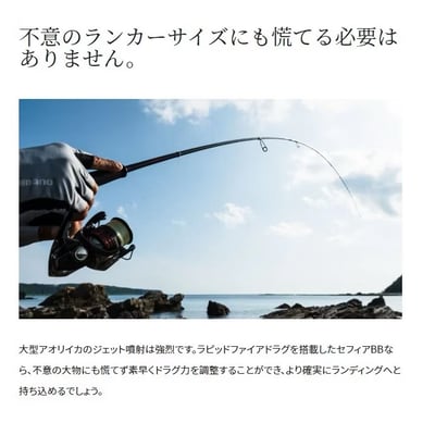 SHIMANO 軟絲捲線器SEPHIA BB C3000SDHHG 現貨2