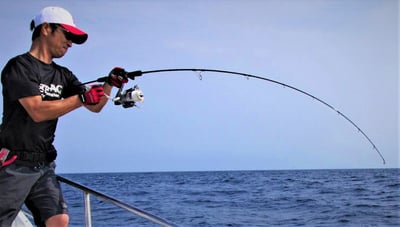 日本 ZENAQ 最新 實心竿  IKARI /鼓式竿/紡車竿3