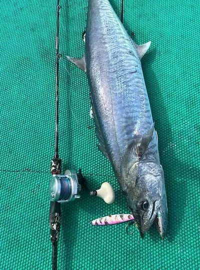 PRO HUNTER 迷彩超強腰身實心鐵板竿7