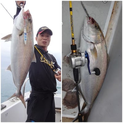 HooFishing 鐵板竿 紫竿light jigging MAX200g19