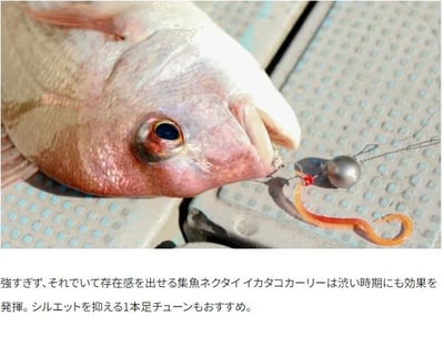 SHIMANO 炎月 游動丸專用膠裙/領帶 EW-004N/3入裝3