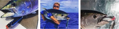 日本FISHERMAN 精品POPPER CRAZY SWIMMER LONG 100/130 兩種規格9