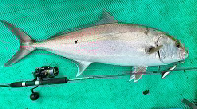 HooFishing 鐵板竿 紫竿light jigging MAX200g1