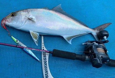 HooFishing 鐵板竿 紫竿light jigging MAX200g10