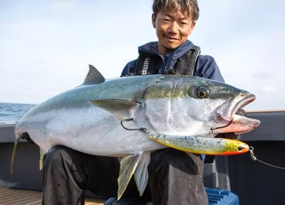 SHIMANO 新款大型青物水表鉛筆 OT-024W1