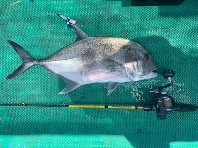 HooFishing 鐵板竿 紫竿light jigging MAX200g22