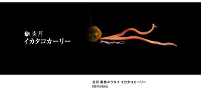 SHIMANO 炎月 游動丸專用膠裙/領帶 EW-004N/3入裝5