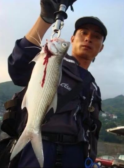 美國BogaGrip秤重魚夾 15lb/30lb/30LB SP 路亞人必備5