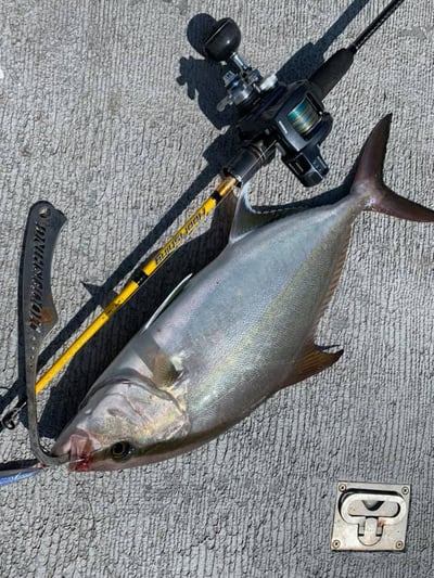 HooFishing 鐵板竿 紫竿light jigging MAX200g15