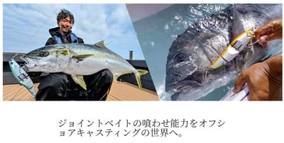 SHIMANO 大型水表餌XV-B22Y/XV-C22Y6