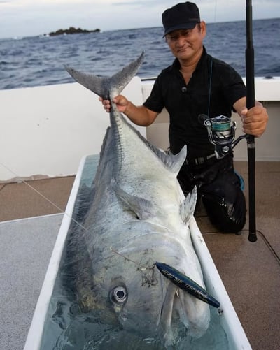 SHIMANO Casting /JIGGER 專用八股編織PE線 オシア 8 PE3