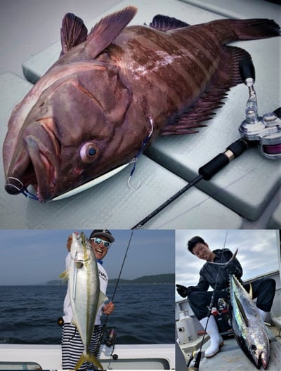 日本 ZENAQ 最新 實心竿  IKARI /鼓式竿/紡車竿4