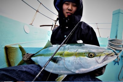 日本 ZENAQ 最新 實心竿  IKARI /鼓式竿/紡車竿5