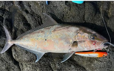 SHIMANO 新款大型青物鉛筆 XL-T18T 185mm/95g6