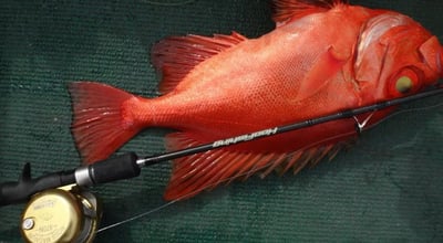 HooFishing 慢速鐵板竿 SLOW JIGGING 黑竿5