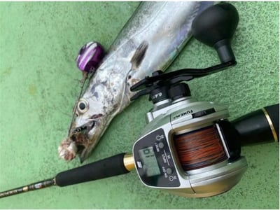 Abu Garcia Fune DLC簡單操作的平價液晶顯示海水捲11