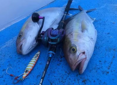 Pro Hunter鋁合金機體雙線杯小烏龜  SW 300H/301H6