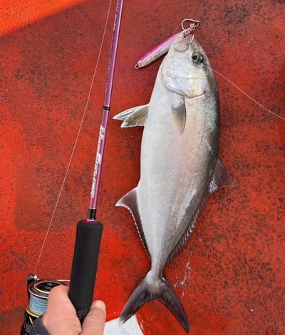 HooFishing 鐵板竿 紫竿light jigging MAX200g2