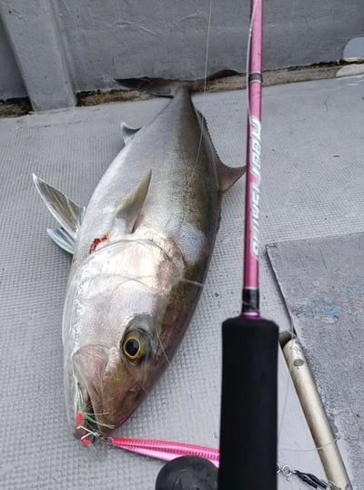 HooFishing 鐵板竿 紫竿light jigging MAX200g6