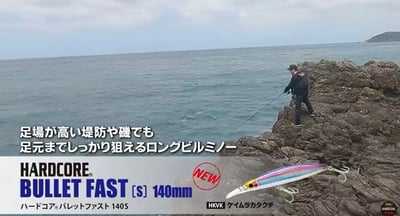 DUEL 新款高比重米諾 多種選擇 140mm/45克 120mm/35克 沉水7
