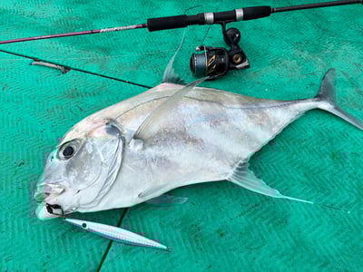 HooFishing 鐵板竿 紫竿light jigging MAX200g13