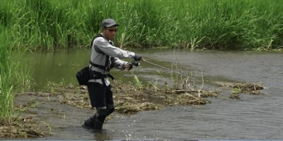 SHIMANO BUENAVISTA COMBO 精緻旅竿系列S56L 灰色 竿+捲+母線+專屬竿袋12