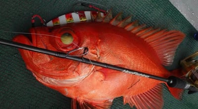 HooFishing 慢速鐵板竿 SLOW JIGGING 黑竿4