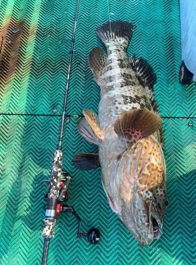 PRO HUNTER 迷彩超強腰身實心鐵板竿6