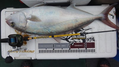 HooFishing 鐵板竿 紫竿light jigging MAX200g23