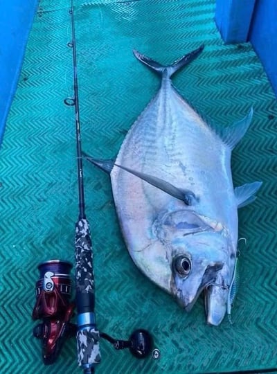 PRO HUNTER 迷彩超強腰身實心鐵板竿8