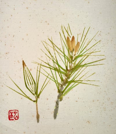 上森松代畫作7