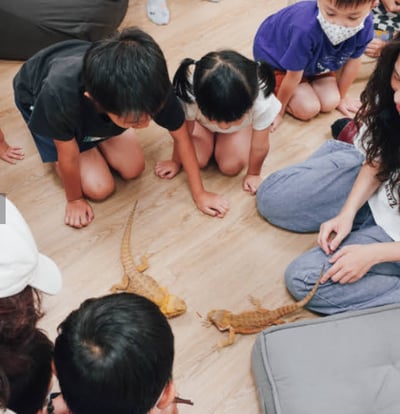 5-12歲獨立【蟲蟲巴斯特別合作】探險隊與爬蟲類們一起冒險！13