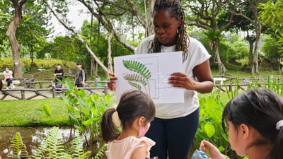 5-12歲 自然觀察探索任務：從觀察現象理解自然規律2