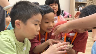 5-12歲獨立【蟲蟲巴斯特別合作】探險隊與爬蟲類們一起冒險！12