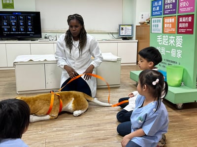 3-10歲【亞洲寵物博物館特別合作】白袍天使小獸醫4