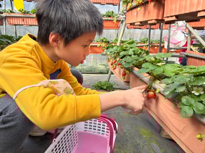 2-10歲 【內湖菩提園】草莓農場小農夫13