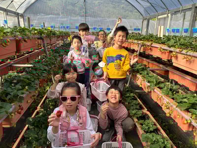 2-10歲 【內湖菩提園】草莓農場小農夫12