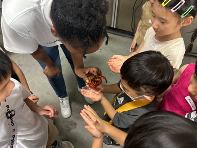 5-10歲【天母大葉高島屋】水族飼育員體驗9