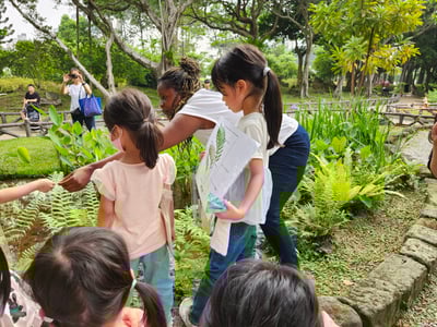 5-12歲 自然觀察探索任務：從觀察現象理解自然規律12