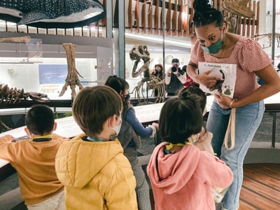 3-10歲【恐龍博物館】尋找消失的恐龍5